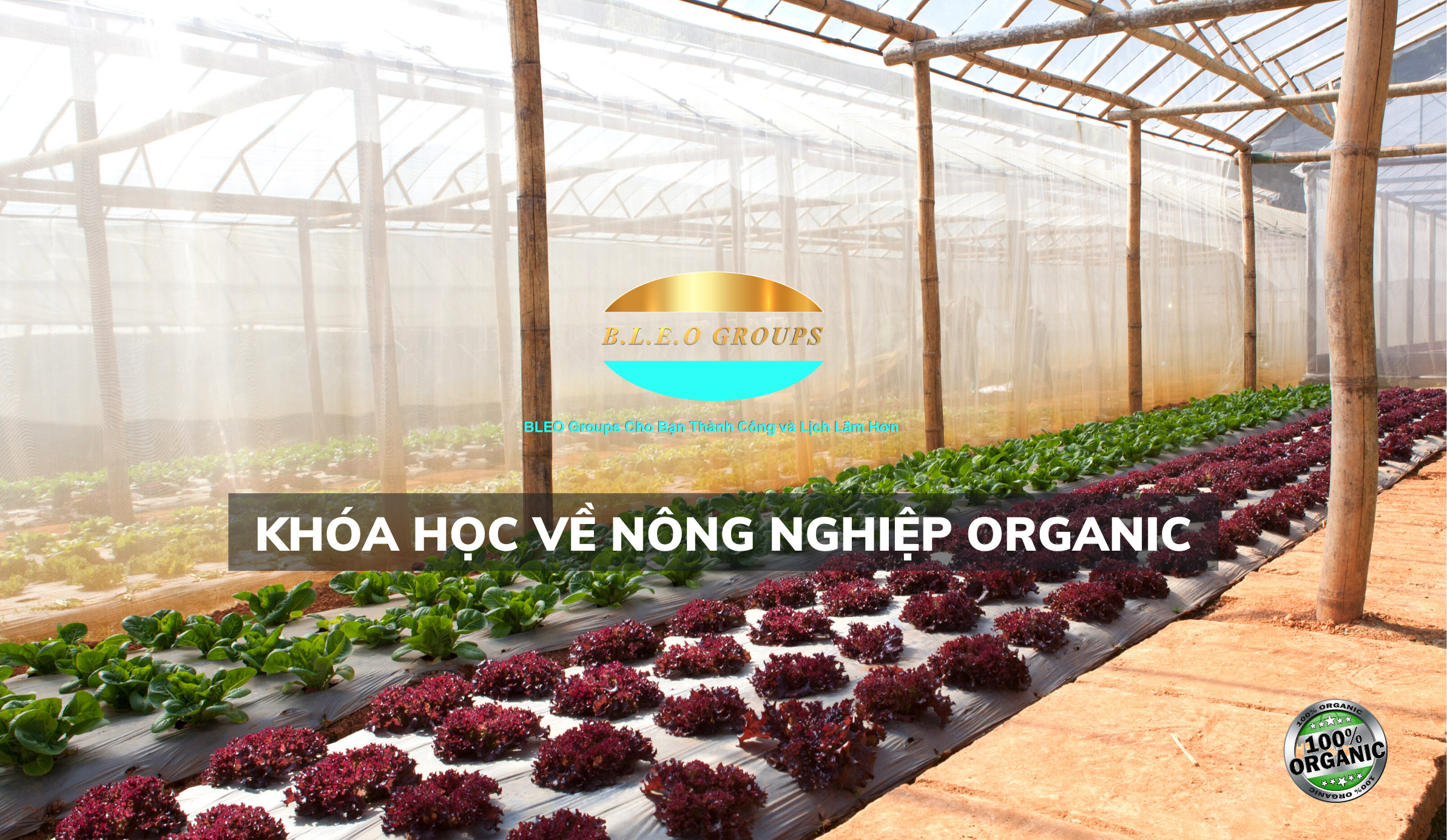 Khóa học nông nghiệp hữu cơ